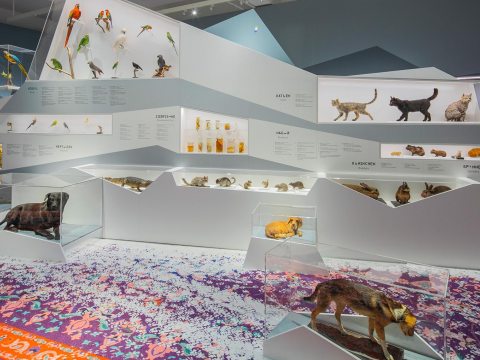 Temporary Exhibition “Pets Friends Forever”