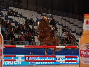 Horse Week 2012, Madrid