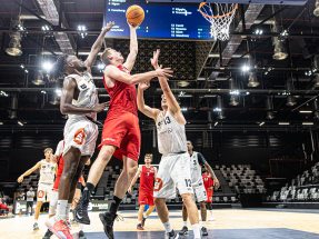 Die Kia Metropol Arena erfüllt die Basketball- und Handball-Bundesliga-Anforderungen