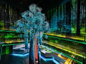 Belarus Pavilion “Forest of Future Technology” 